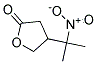 4-(1-METHYL-1-NITROETHYL)TETRAHYDROFURAN-2-ONE CAS#: 176793-53-6