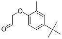[4-(1,1-dimethylethyl)-2-methylphenoxy]acetaldehyde CAS#: 67845-53-8