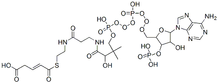4-[2-[3-[[4-[[[5-(6-aminopurin-9-yl)-4-hydroxy-3-phosphonooxy-oxolan-2-yl]methoxy-hydroxy-phosphoryl]oxy-hydroxy-phosphoryl]oxy-2-hydroxy-3,3-dimethyl-butanoyl]amino]propanoylamino]ethylsulfanylcarbonyl]but-3-enoic acid CAS#: 6712-05-6