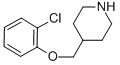 4-[(2-CHLOROPHENOXY)METHYL]PIPERIDINE CAS#: 63608-31-1