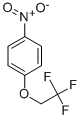 4-(2,2,2-TRIFLUOROETHOXY)NITROBENZENE CAS#: 62149-35-3