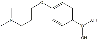 4-(3-(diMethylaMino)propoxy)phenylboronic acid CAS#: 627899-88-1