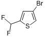 4-BROMO-2-(DIFLUOROMETHYL)-THIOPHENE CAS#: 627526-93-6