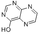 4-HYDROXYPTERIDINE CAS#: 700-47-0