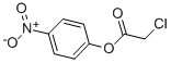 4-NITROPHENYL CHLOROACETATE CAS#: 777-84-4