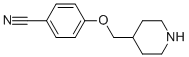 4-(Piperidin-4-ylmethoxy)-benzonitrile CAS#: 176967-62-7