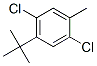 4-tert-Butyl-2,5-dichlorotoluene CAS#: 61468-35-7