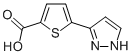 5-(1H-PYRAZOL-3-YL)-2-THIOPHENECARBOXYLIC ACID CAS#: 656226-63-0