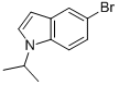 5-BROMO-1-ISOPROPYL-1H-INDOLE CAS#: 675827-10-8