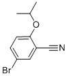 5-BROMO-2-ISOPROPOXY-BENZONITRILE CAS#: 515832-52-7