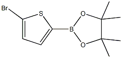 5-BROMOTHIOPHENE-2-BORONIC ACID PINACOL ESTER CAS#: 676501-84-1