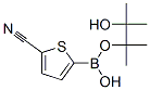 5-CYANOTHIOPHENE-2-BORONIC ACID PINACOL ESTER CAS#: 676501-85-2