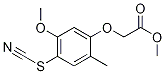 (5-Methoxy-2-methyl-4-thiocyanatophenoxy)acetic acid methyl ester CAS#: 600134-66-5