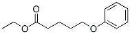 5-Phenoxypentanoic acid ethyl ester CAS#: 69687-95-2