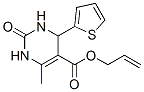 5-Pyrimidinecarboxylicacid,1,2,3,4-tetrahydro-6-methyl-2-oxo-4-(2-thienyl)-,2-propenylester(9CI) CAS#: 512840-49-2