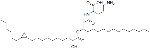5-amino-2-[3-[10-(2-hexylcyclopropyl)-2-hydroxy-decanoyl]oxyhexadecanoylamino]pentanoic acid CAS#: 61574-56-9