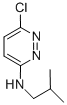 6-CHLORO-N-(2-METHYLPROPYL)-3-PYRIDAZINAMINE CAS#: 686277-32-7