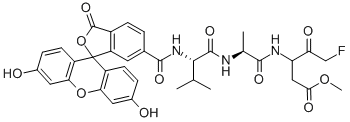 6-FAM-VAD(OME)-FMK CAS#: 560094-66-8