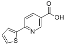 6-THIEN-2-YLNICOTINIC ACID CAS#: 179408-54-9