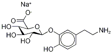 Dopamine 3-β-D-Glucuronide Sodium Salt CAS#: 69975-91-3