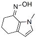 7H-Indol-7-one,1,4,5,6-tetrahydro-1-methyl-,oxime,(7Z)-(9CI) CAS#: 609368-68-5