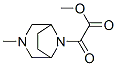 8-(2-Methoxy-1,2-dioxoethyl)-3-methyl-3,8-diazabicyclo[3.2.1]octane CAS#: 63990-34-1
