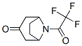 8-Azabicyclo[3.2.1]octan-3-one, 8-(trifluoroacetyl)- (9CI) CAS#: 176910-42-2
