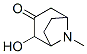 8-Azabicyclo[3.2.1]octan-3-one,2-hydroxy-8-methyl-,endo-(9CI) CAS#: 62251-42-7
