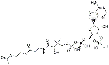 ACETYL COENZYME A TRILITHIUM SALT TRIHYDRATE CAS#: 72-89-9