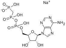 ADENYLYLMETHYLENEDIPHOSPHONATE SODIUM SALT CAS#: 7414-56-4