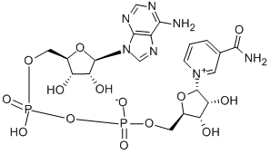 ALPHA-DIPHOSPHOPYRIDINE NUCLEOTIDE CAS#: 7298-93-3