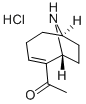(+)-ANATOXIN A HYDROCHLORIDE CAS#: 64314-16-5