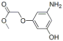 Acetic acid, (3-amino-5-hydroxyphenoxy)-, methyl ester (9CI) CAS#: 575474-39-4