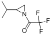 Aziridine, 2-(1-methylethyl)-1-(trifluoroacetyl)-, (2S)- (9CI) CAS#: 516455-10-0