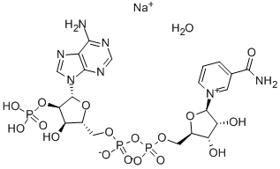 B-NICOTINAMIDE ADENINE DINUCLEOTIDE*PHOS PHATE SODIU CAS#: 698999-85-8