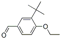 Benzaldehyde, 3-(1,1-dimethylethyl)-4-ethoxy- (9CI) CAS#: 681443-02-7