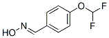 Benzaldehyde, 4-(difluoromethoxy)-, oxime (9CI) CAS#: 556016-57-0