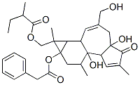 Benzeneacetic acid 1,1a,1b,4,4a,5,7a,7b,8,9-decahydro-4a,7b-dihydroxy-3-(hydroxymethyl)-1,6,8-trimethyl-1-[(2-methyl-1-oxobutoxy)methyl]-5-oxo-9aH-cyclopropa[3,4]benz[1,2-e]azulen-9a-yl ester CAS#: 64854-98-4