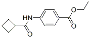 Benzoic acid, 4-[(cyclobutylcarbonyl)amino]-, ethyl ester (9CI) CAS#: 620103-23-3