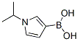 Boronic acid, [1-(1-methylethyl)-1H-pyrrol-3-yl]- (9CI) CAS#: 664991-79-1