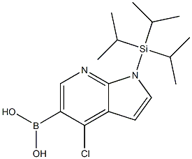 Boronic acid, [4-chloro-1-[tris(1-methylethyl)silyl]-1H-pyrrolo[2,3-b]pyridin-5-yl]- (9CI) CAS#: 685513-99-9
