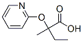 Butanoic acid, 2-methyl-2-(2-pyridinyloxy)- (9CI) CAS#: 605680-43-1