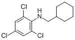 CYCLOHEXYLMETHYL-(2,4,6-TRICHLORO-PHENYL)-AMINE CAS#: 177721-94-7