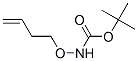 Carbamic acid, (3-butenyloxy)-, 1,1-dimethylethyl ester (9CI) CAS#: 635757-93-6