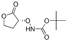 Carbamic acid, [[(3R)-tetrahydro-2-oxo-3-furanyl]oxy]-, 1,1-dimethylethyl ester CAS#: 666706-32-7