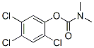 Carbamic acid, dimethyl-, 2,4,5-trichlorophenyl ester CAS#: 6935-06-4