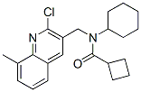 Cyclobutanecarboxamide, N-[(2-chloro-8-methyl-3-quinolinyl)methyl]-N-cyclohexyl- (9CI) CAS#: 606095-44-7