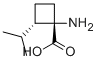 Cyclobutanecarboxylic acid, 1-amino-2-(1-methylethyl)-, (1S,2S)- (9CI) CAS#: 587829-78-5