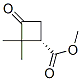 Cyclobutanecarboxylic acid, 2,2-dimethyl-3-oxo-, methyl ester, (1S)- (9CI) CAS#: 527751-17-3