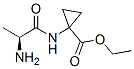 Cyclopropanecarboxylic acid, 1-[(2-amino-1-oxopropyl)amino]-, ethyl ester, (S)- (9CI) CAS#: 181467-71-0